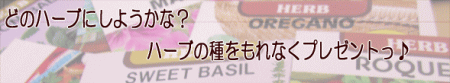 ハーブの種プレゼント 3月15日までハーブの種プレゼント企画実施中