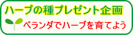 ハーブの種プレゼント ハーブの種プレゼント企画ページへ