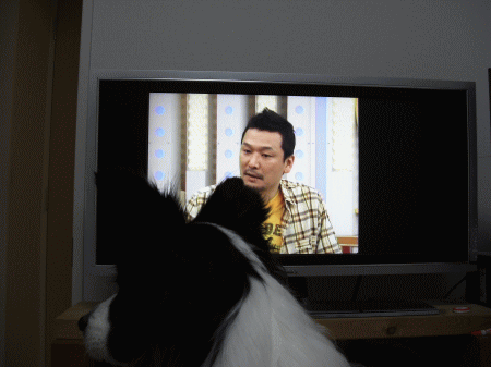テレビ出演 店長。がんばってるな。