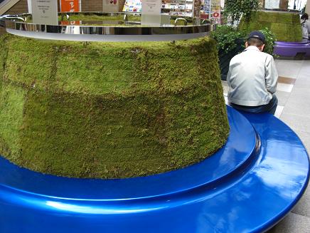 緑化ベンチ