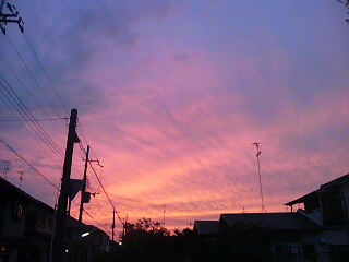 夕焼け 秋の空