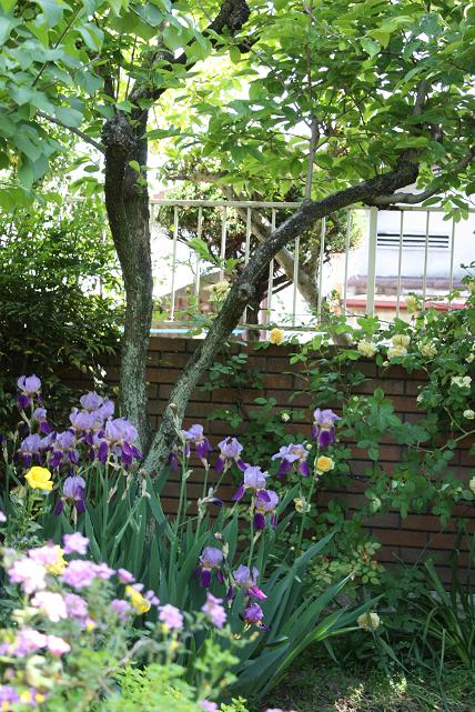 Garden Party Garden Party