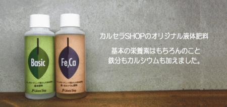 ベランダガーデニング屋さんの液体肥料 売れてます!カルセラSHOPのオリジナル液体肥料