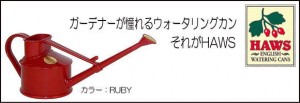 HAWSジョウロ