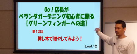 挿し木