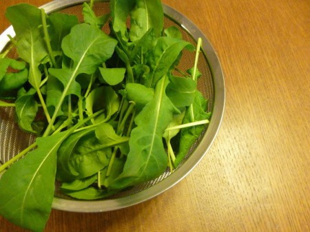 ベランダハーブ菜園で育てたルッコラ