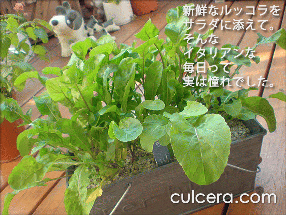 �x�����_�Ƀn�[�u����A�I�[�K�j�b�N�Ȑ���