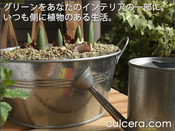 ���r���O�ɂ��Ԃ̂����炵