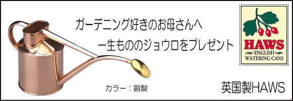 母の日のガーデニング用品プレゼント インドアカン銅製 ベランダガーデニング カルセラshop