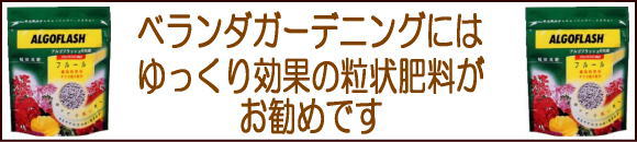 アルゴフラッシュ