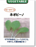 �l�I�s�[�m