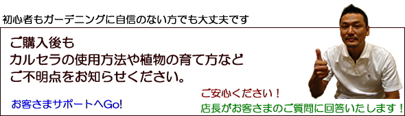 お客さまサポート