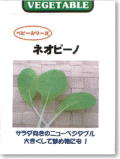 �l�I�s�[�m